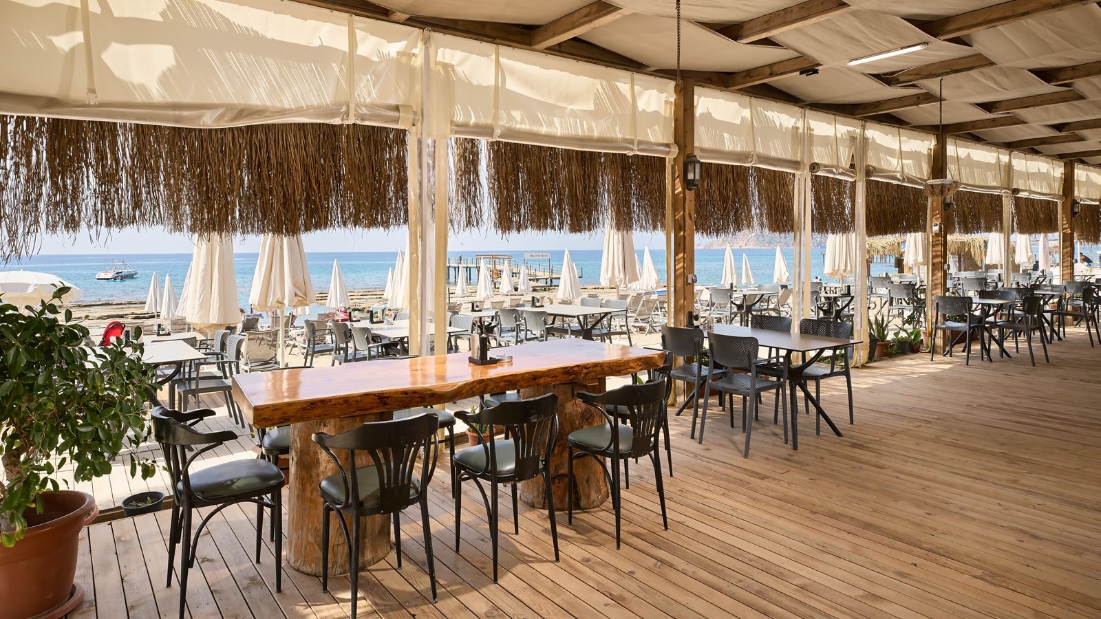 restaurants-beach-bar
