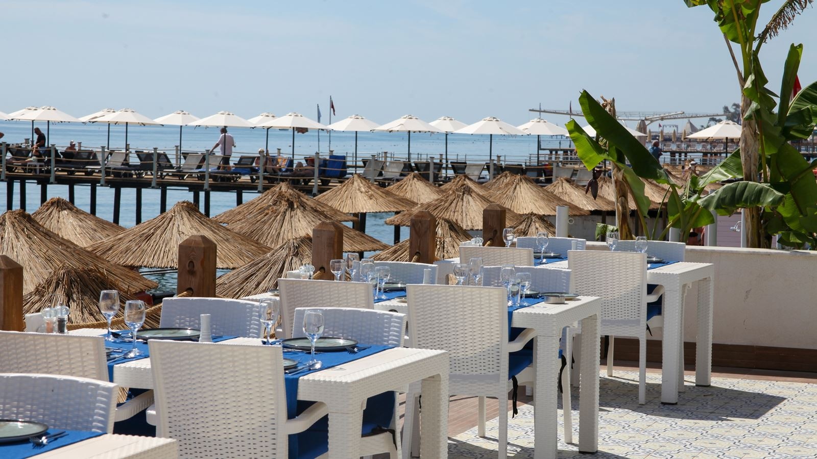 restaurants-fish--alacarte