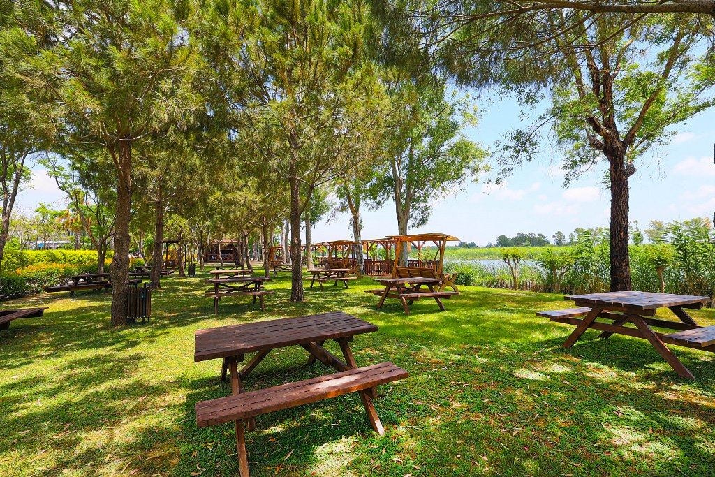 restaurants-snack-restaurant