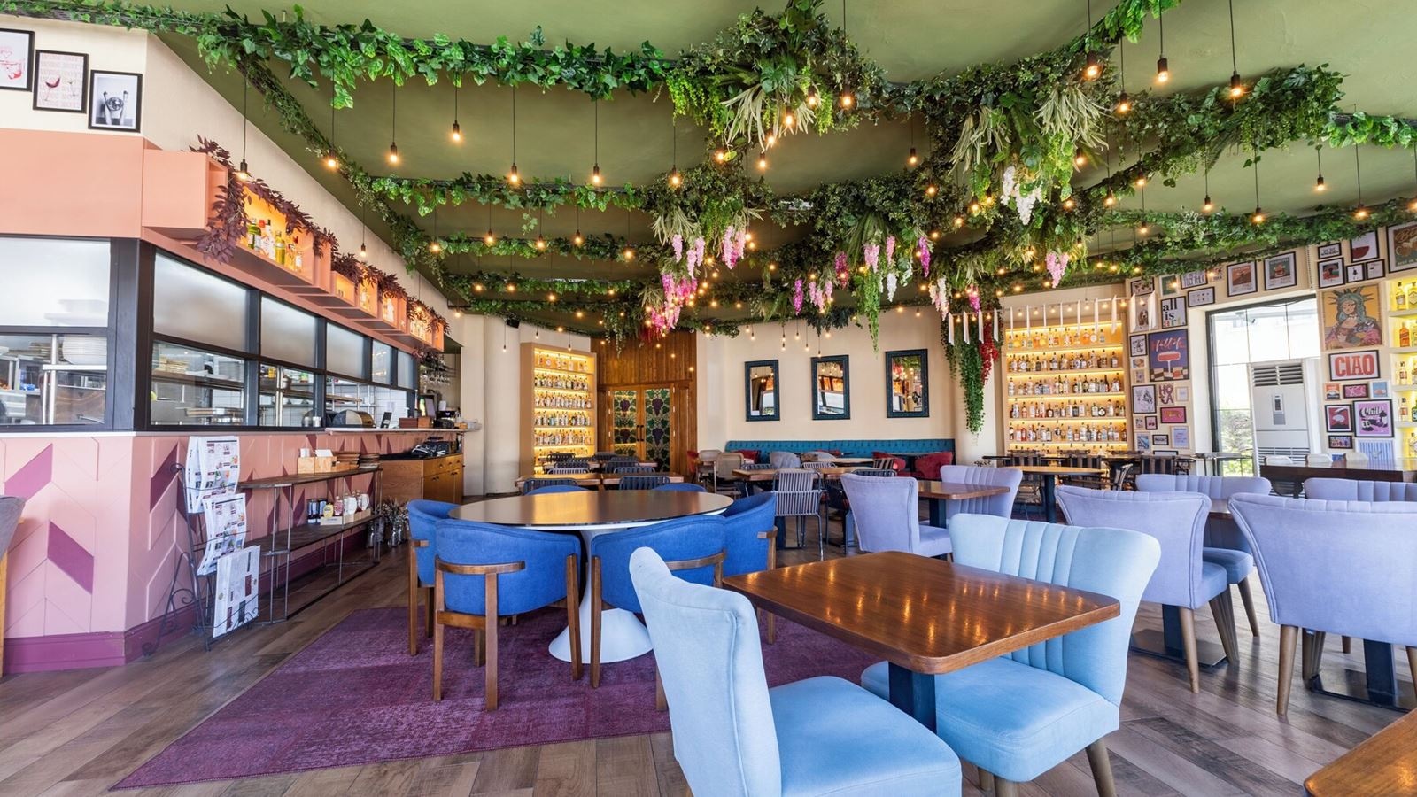 restaurants-restaurants