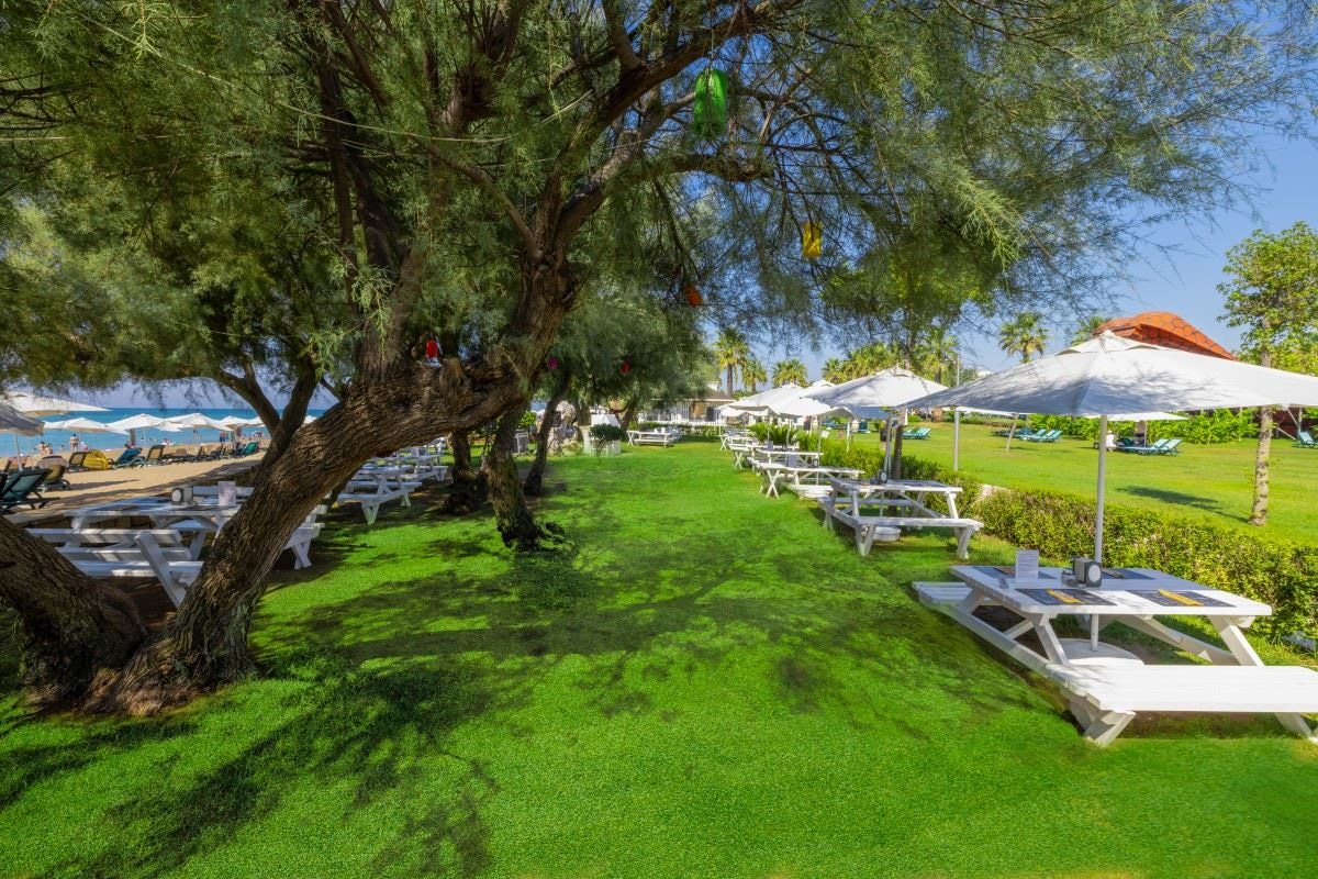 restaurants-cburger-house