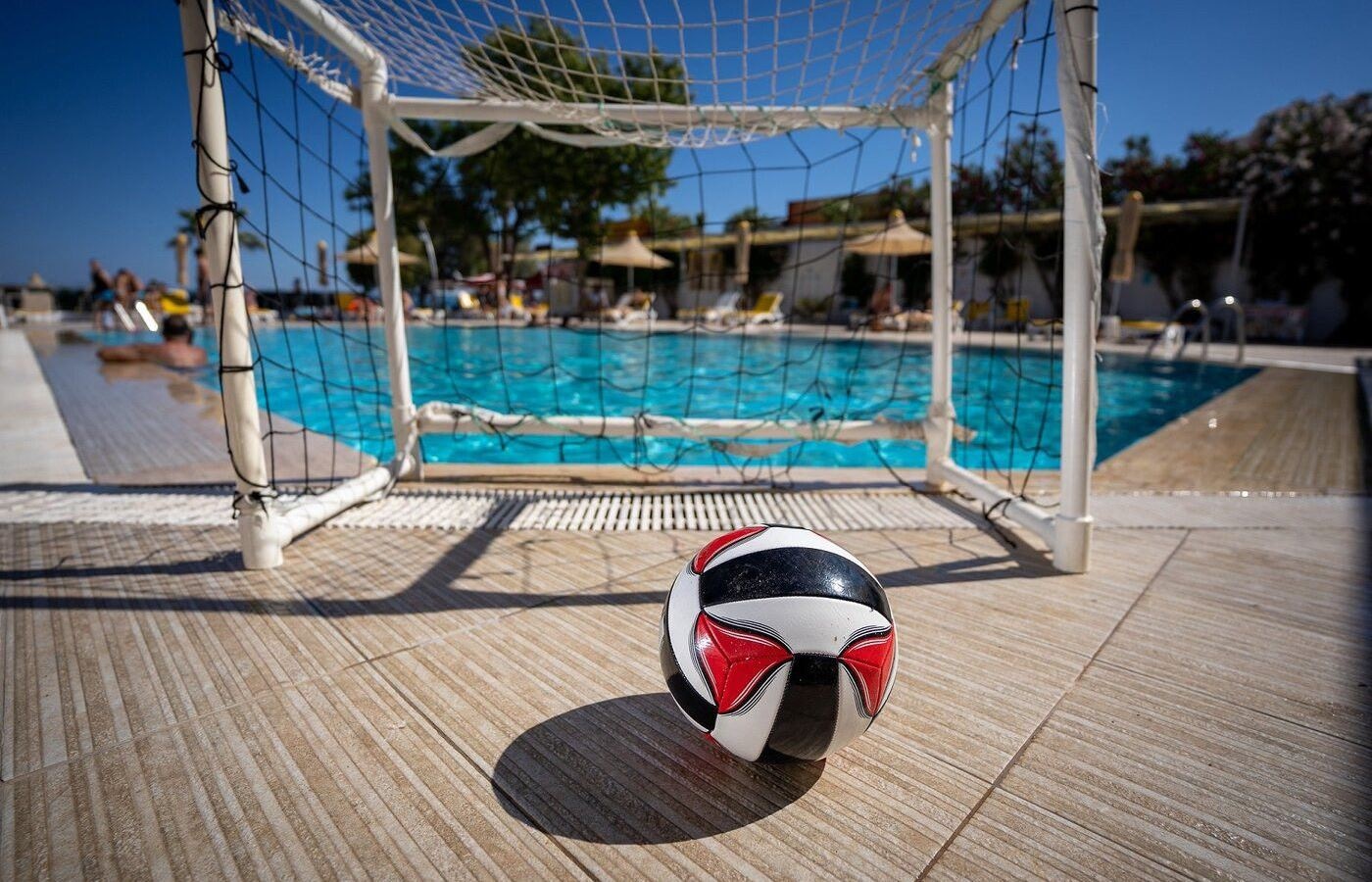 sport-sport