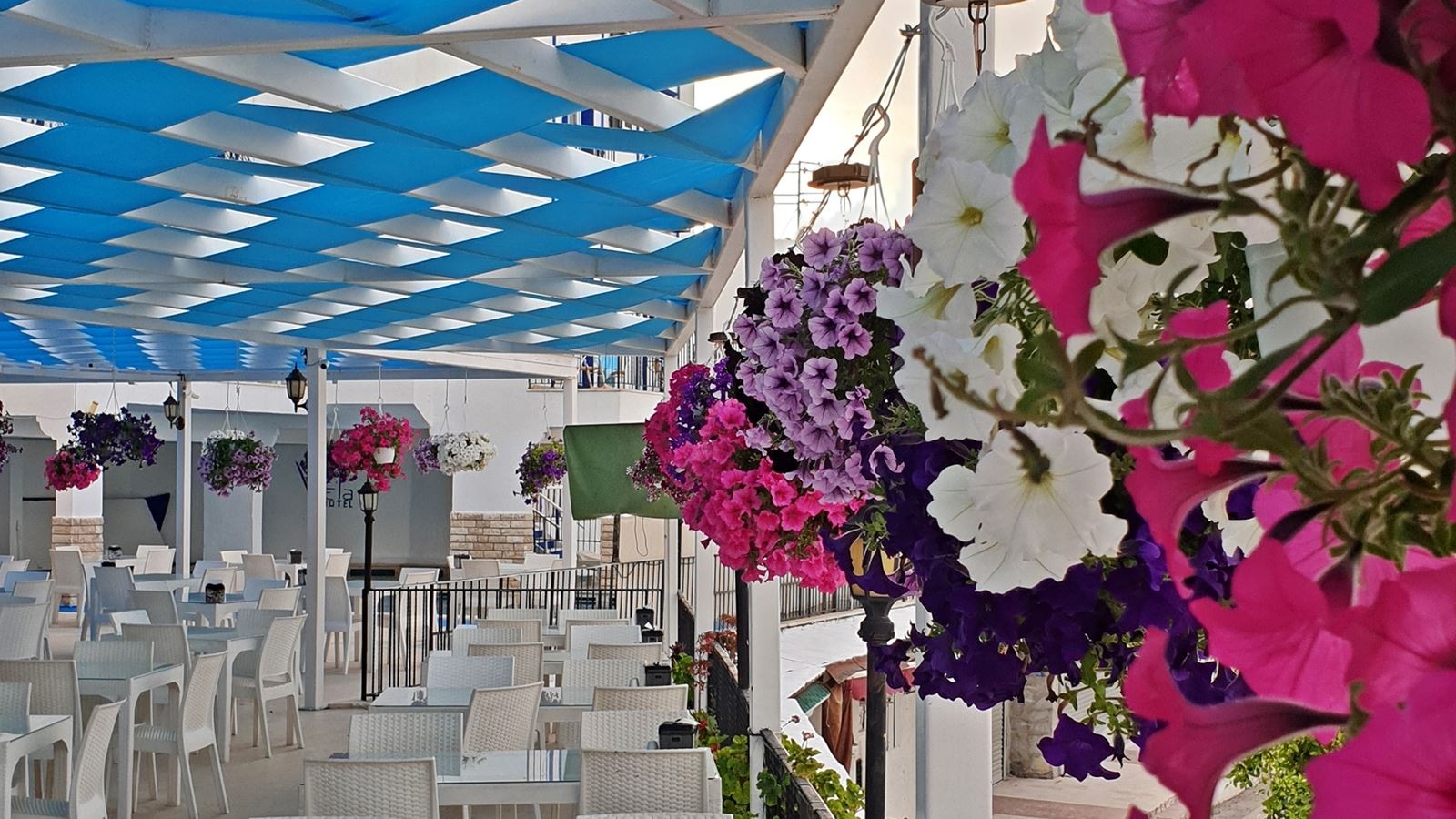 restaurants-restaurant