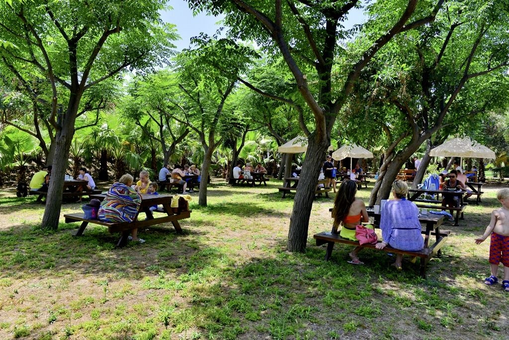 restaurants-snack-restaurant