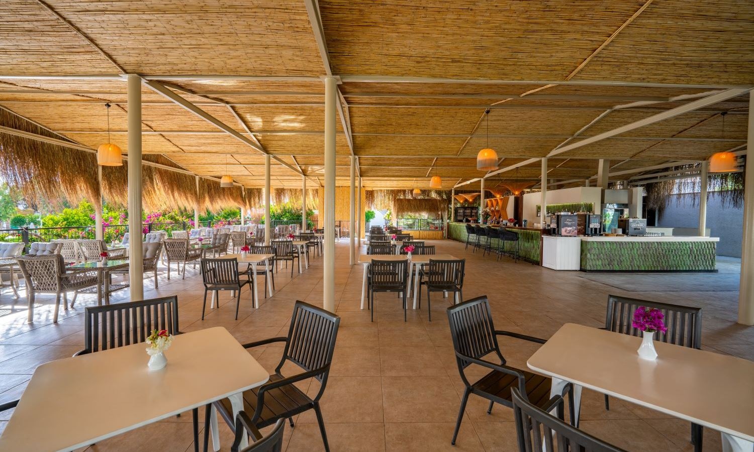 bars-paradiso-cafe-bar