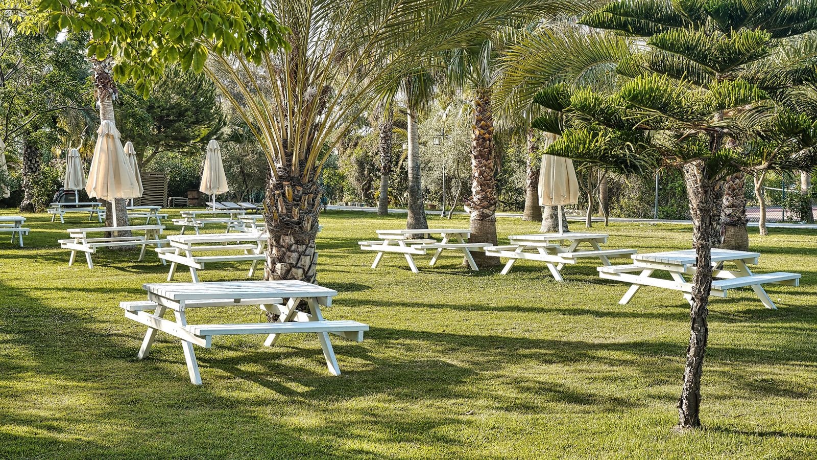 restaurants-snack-restarurant