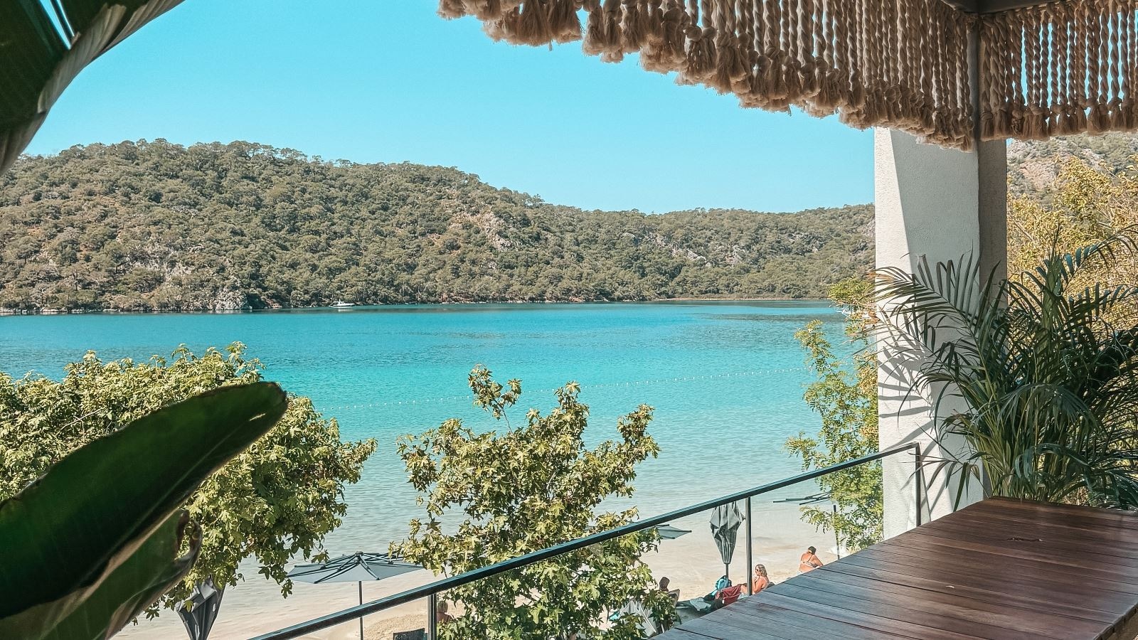 restaurants-main-restaurant