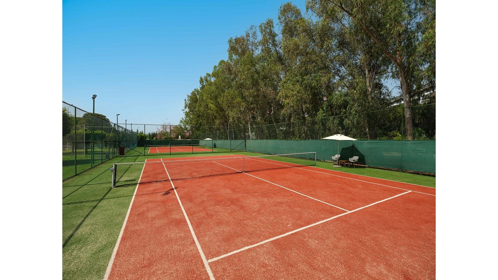 sport-sport