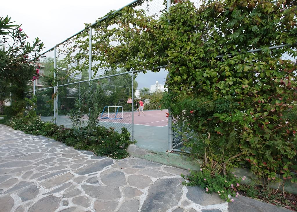 sport-sport