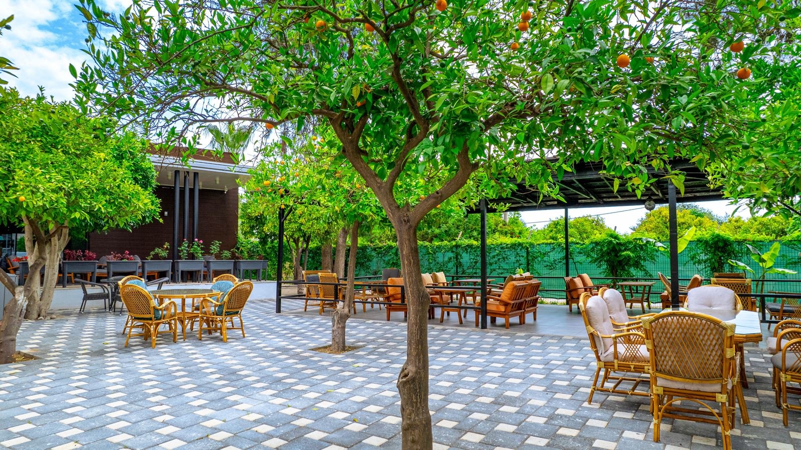 restaurants-snack-restaurant