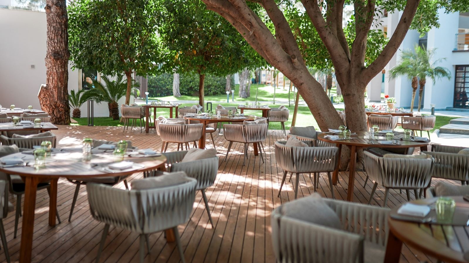 restaurants-noodle-house