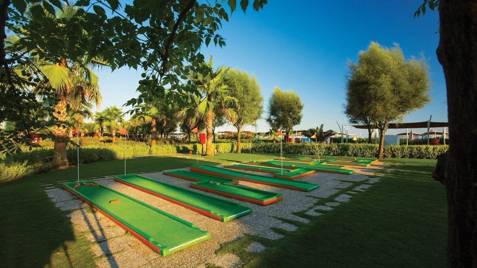 sport-sport