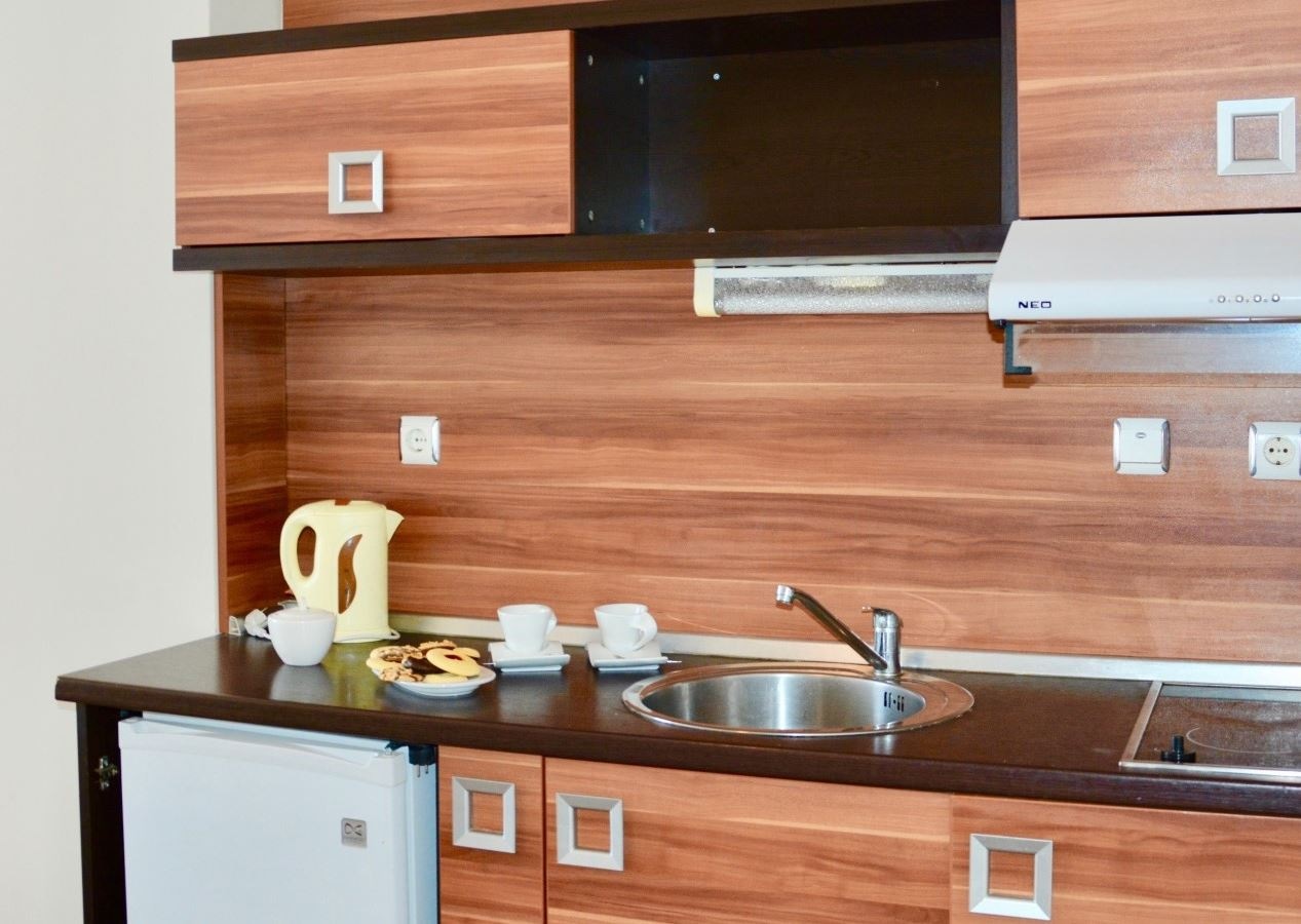 rooms-standard-apartment-balcony-or-terrace