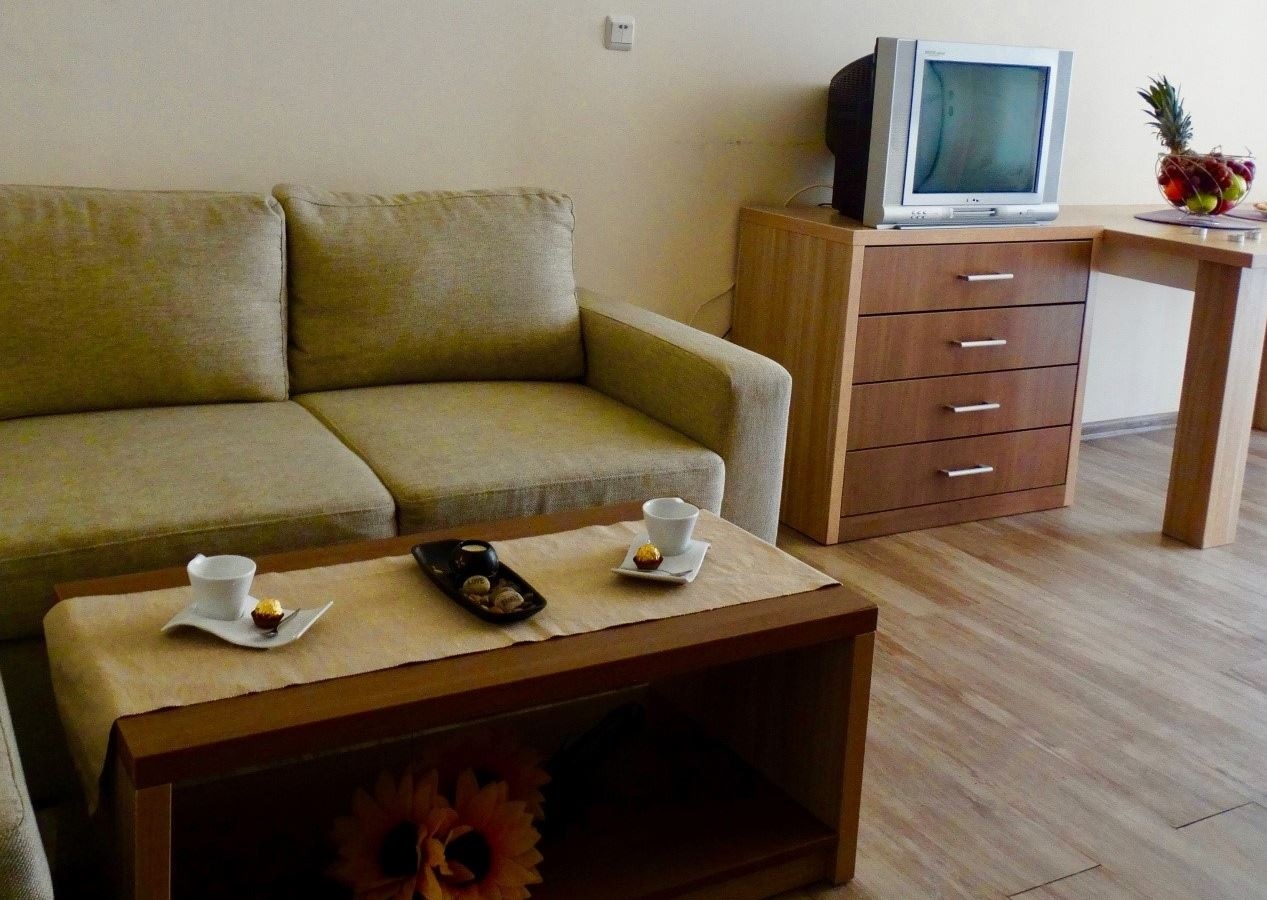 rooms-standard-apartment-balcony-or-terrace