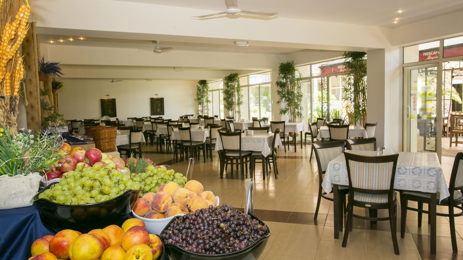 restaurants-restaurant-andalucia