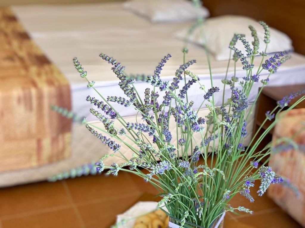 rooms-twin-standard-room-balcony-or-terrace