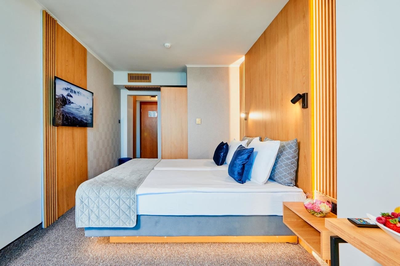 rooms-standard-room-without-balconyterrace-economy