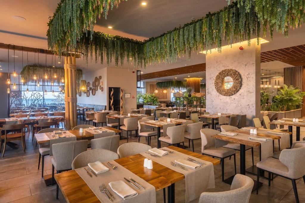 restaurants-restaurants