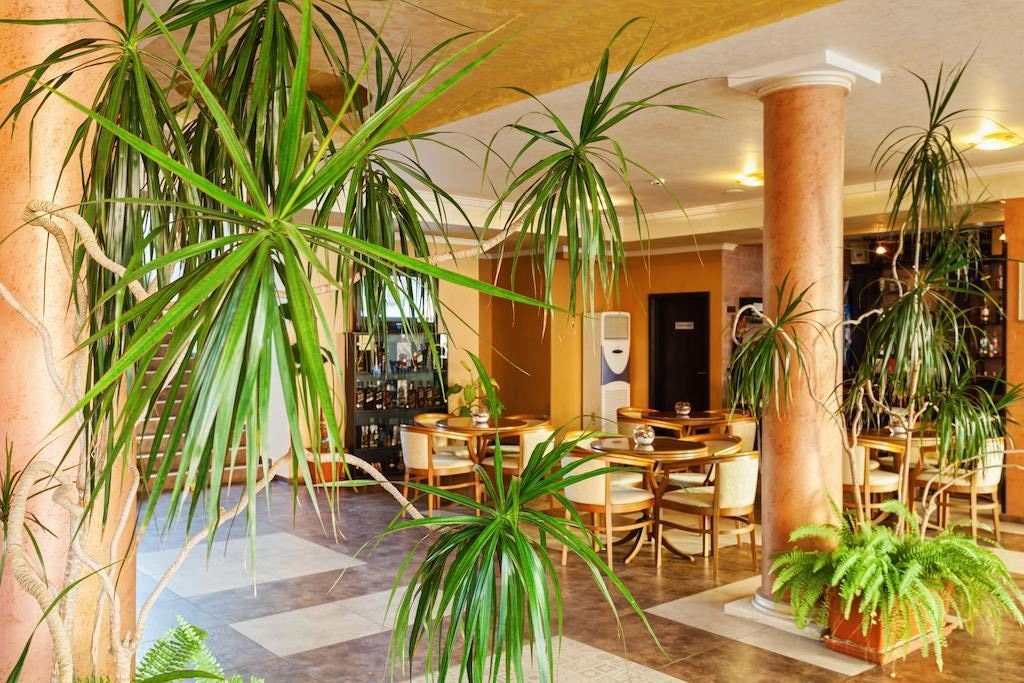 restaurants-restaurants