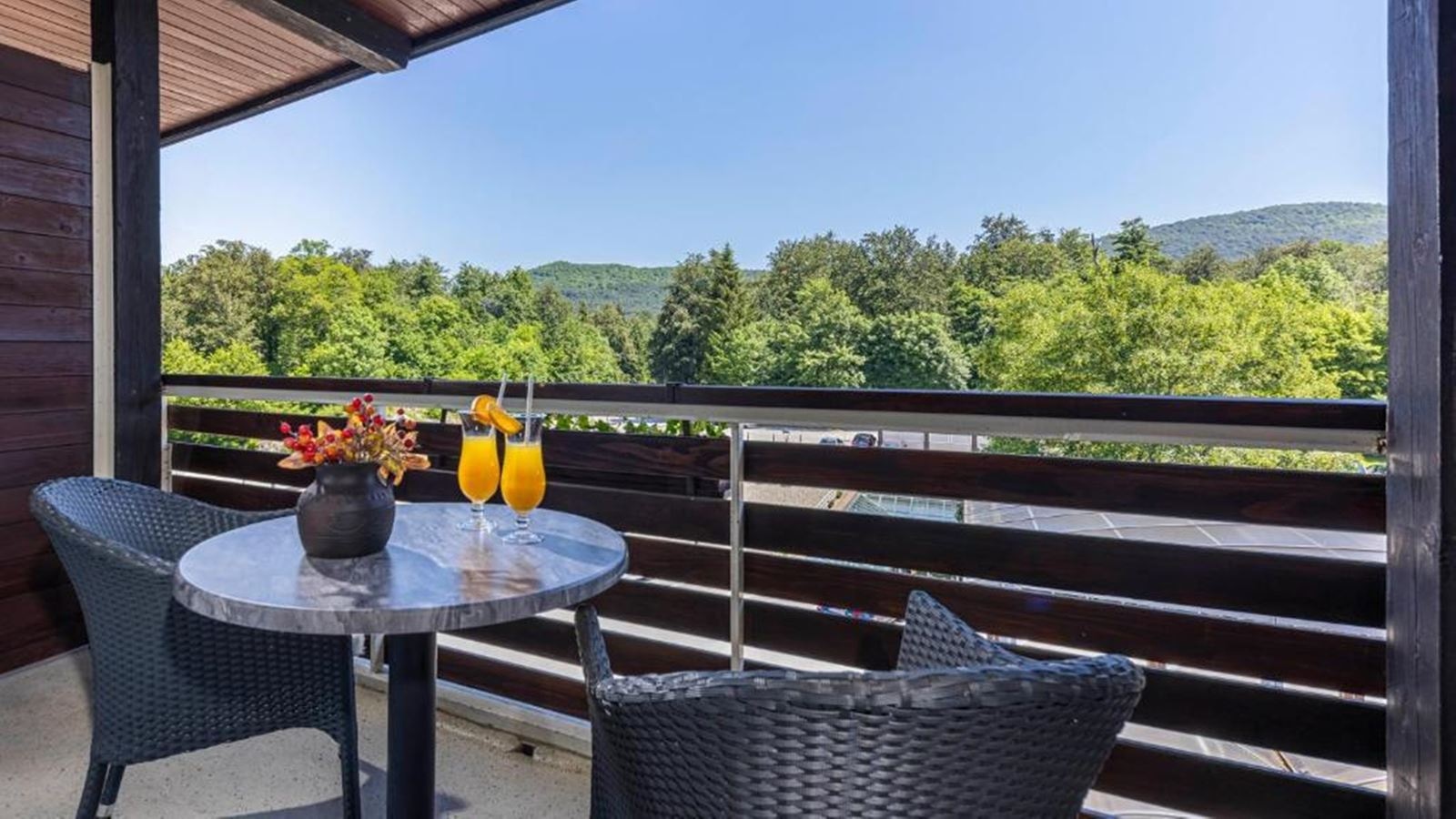 rooms-double-standard-room-park-view