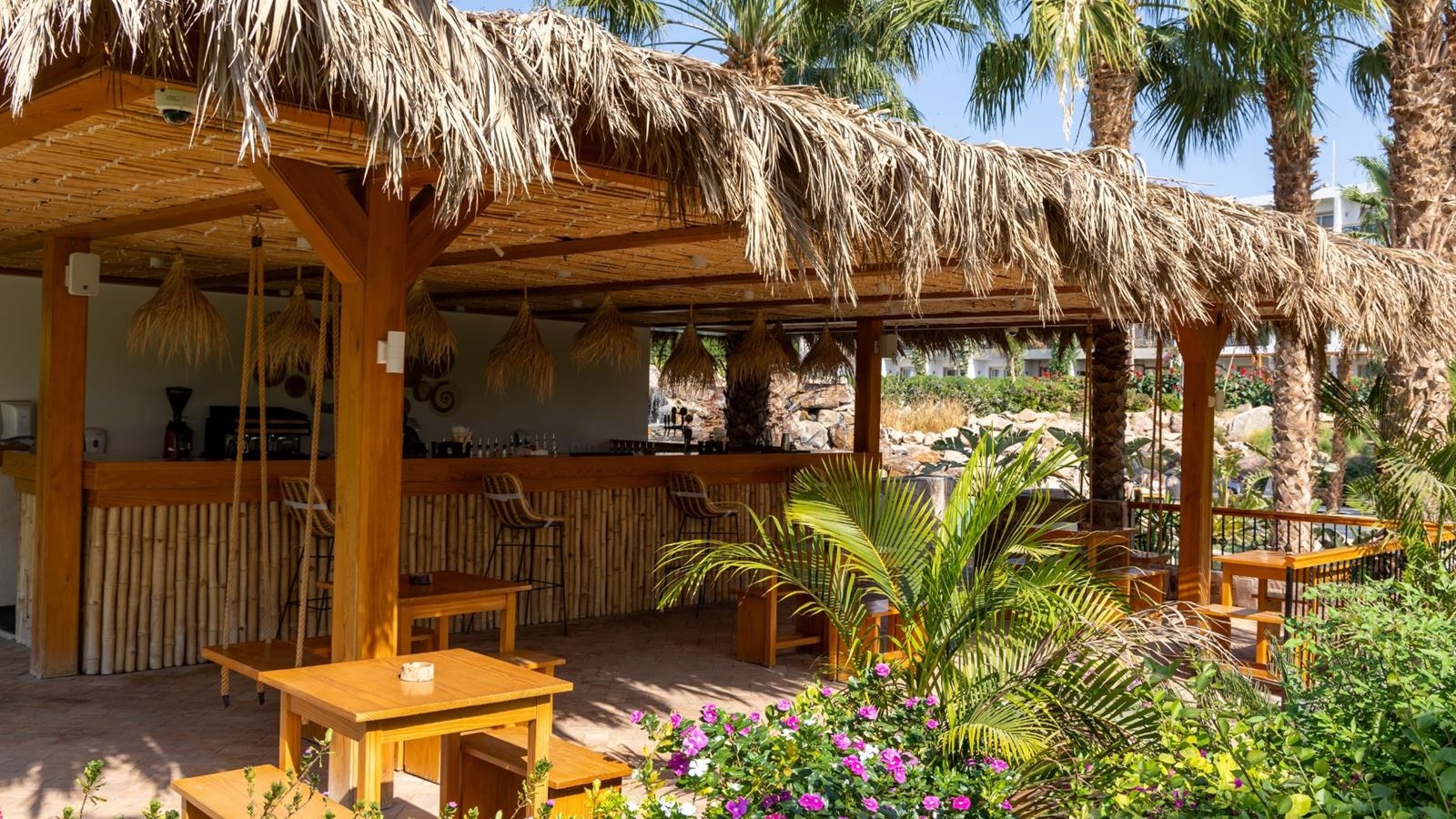 bars-jungle-pool-bar-adults-only