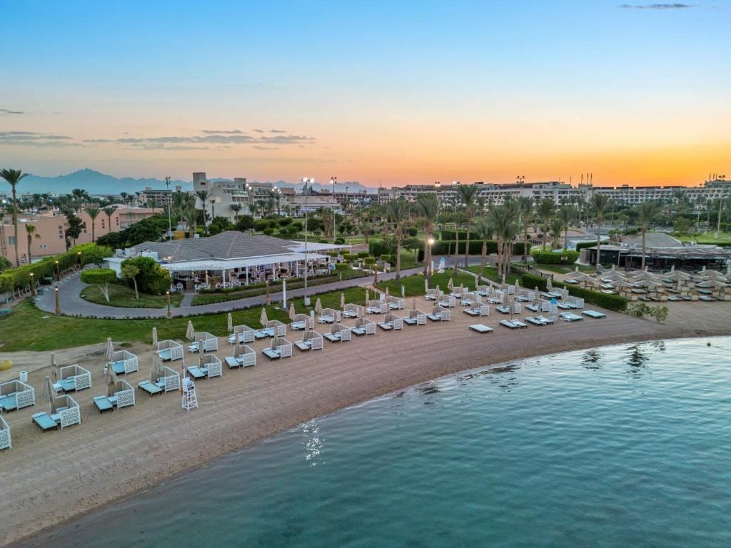 bars-alex-beach-club-and-restaurant