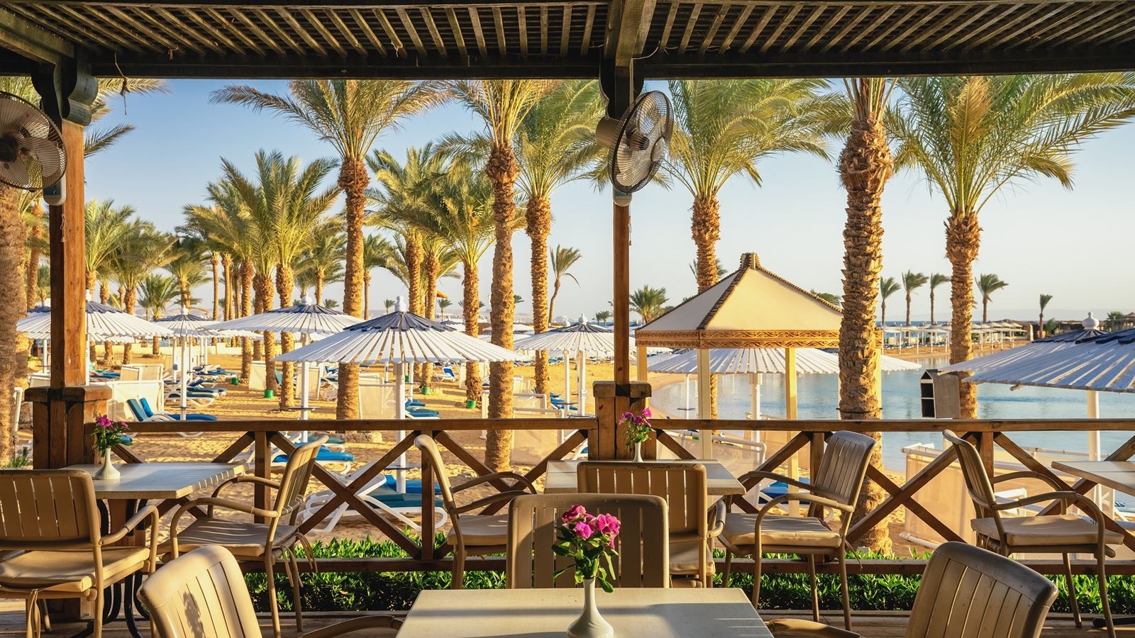 restaurants-waves-beach-bar