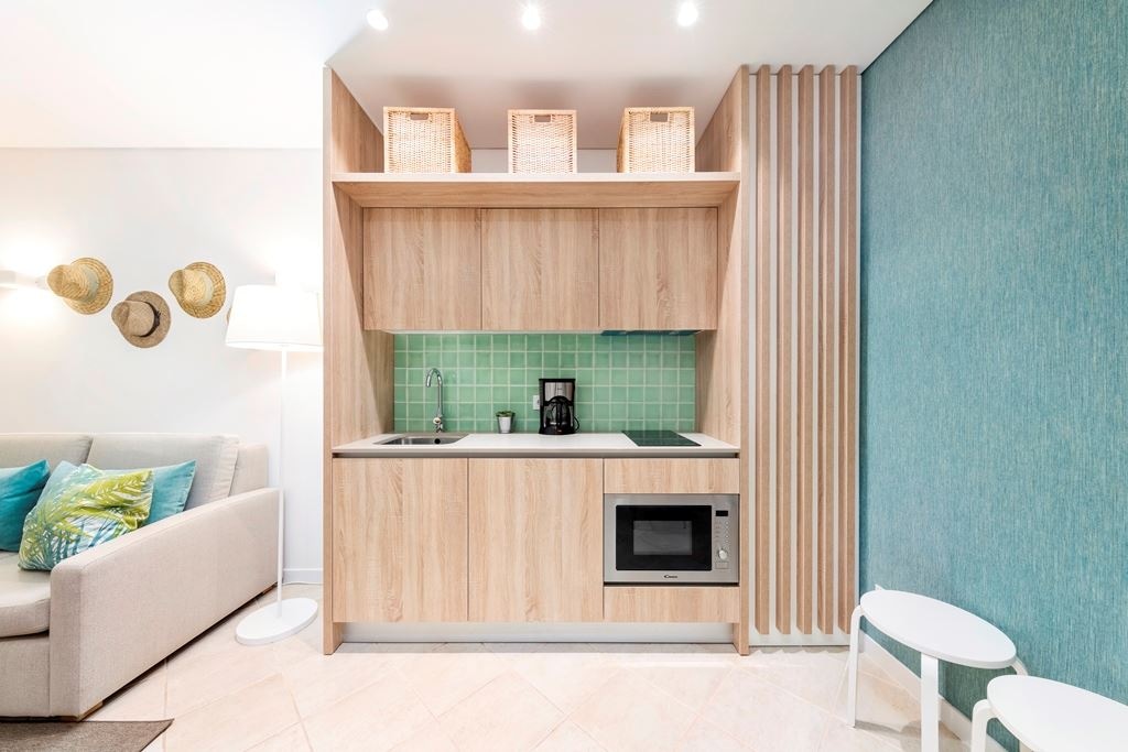 rooms-a1--1-bedroom-apartment
