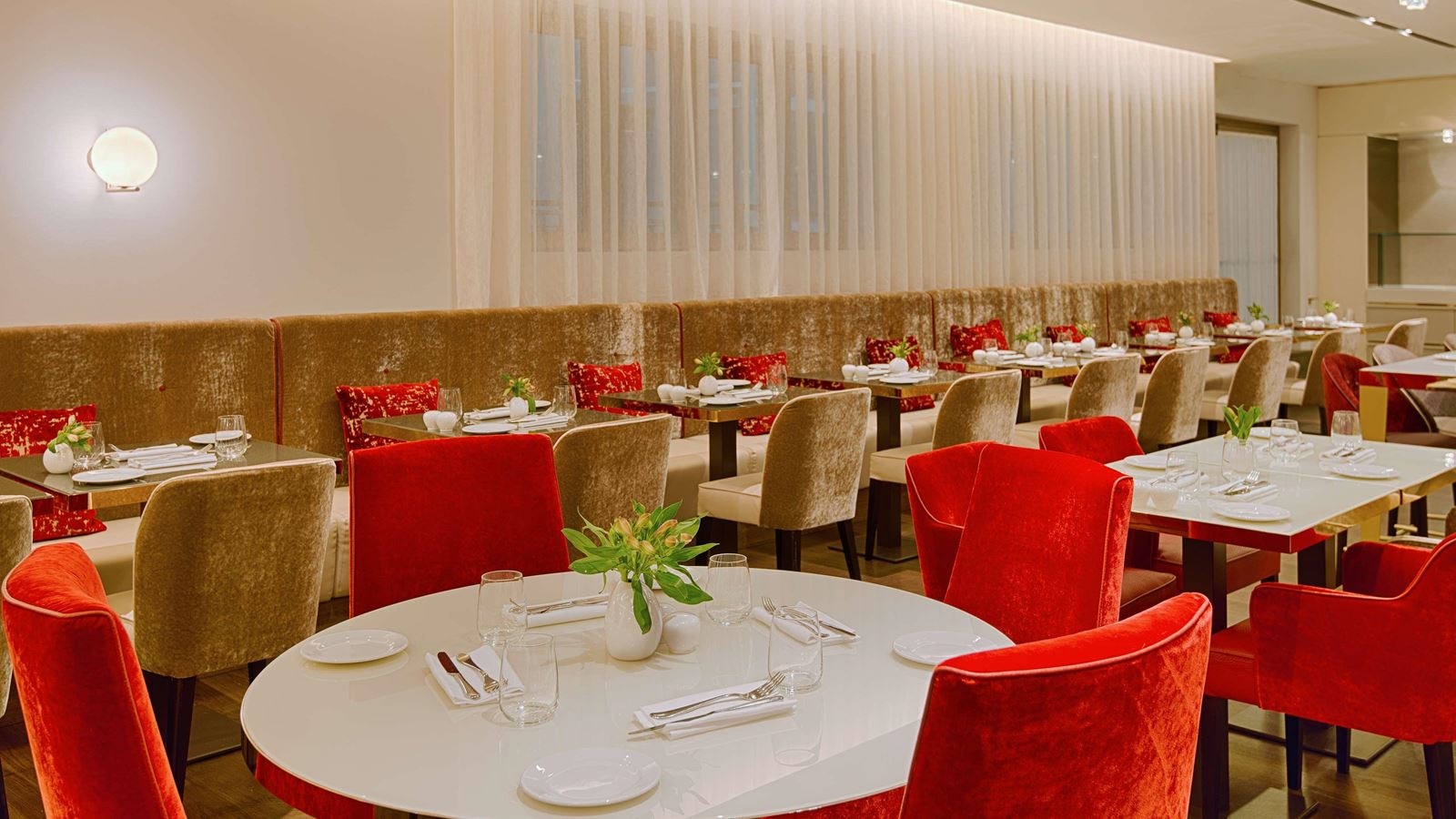 restaurants-restaurants