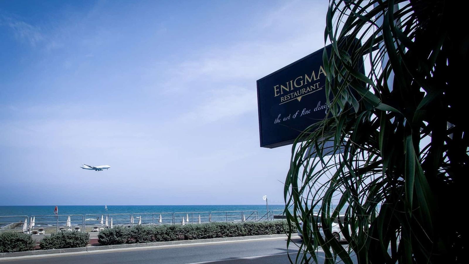 restaurants-enigma-restaurant