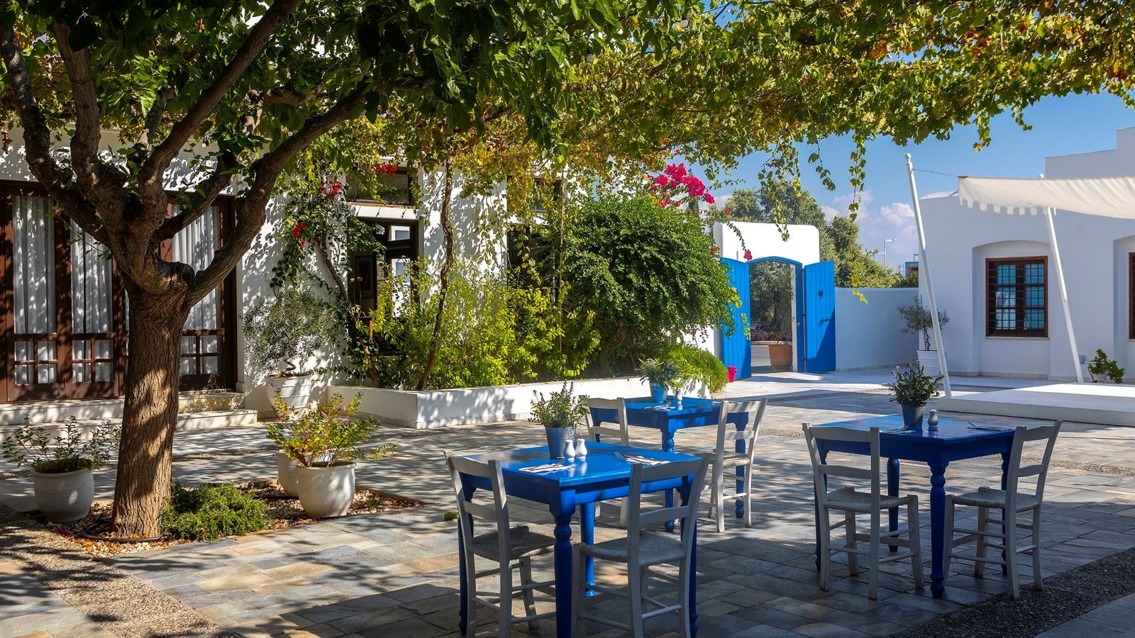 restaurants-main-restaurant