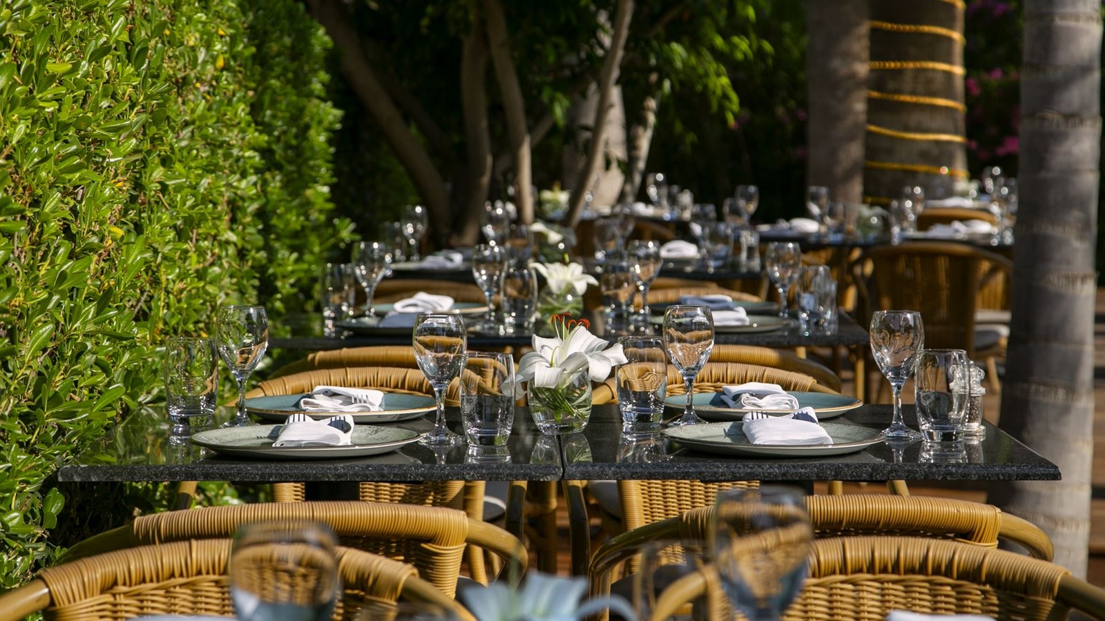 restaurants-coconut-terrace