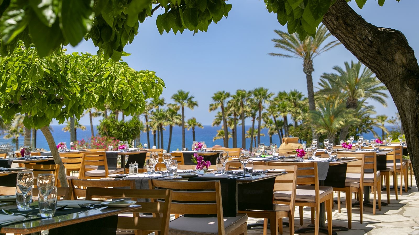 restaurants-akamas-terrace