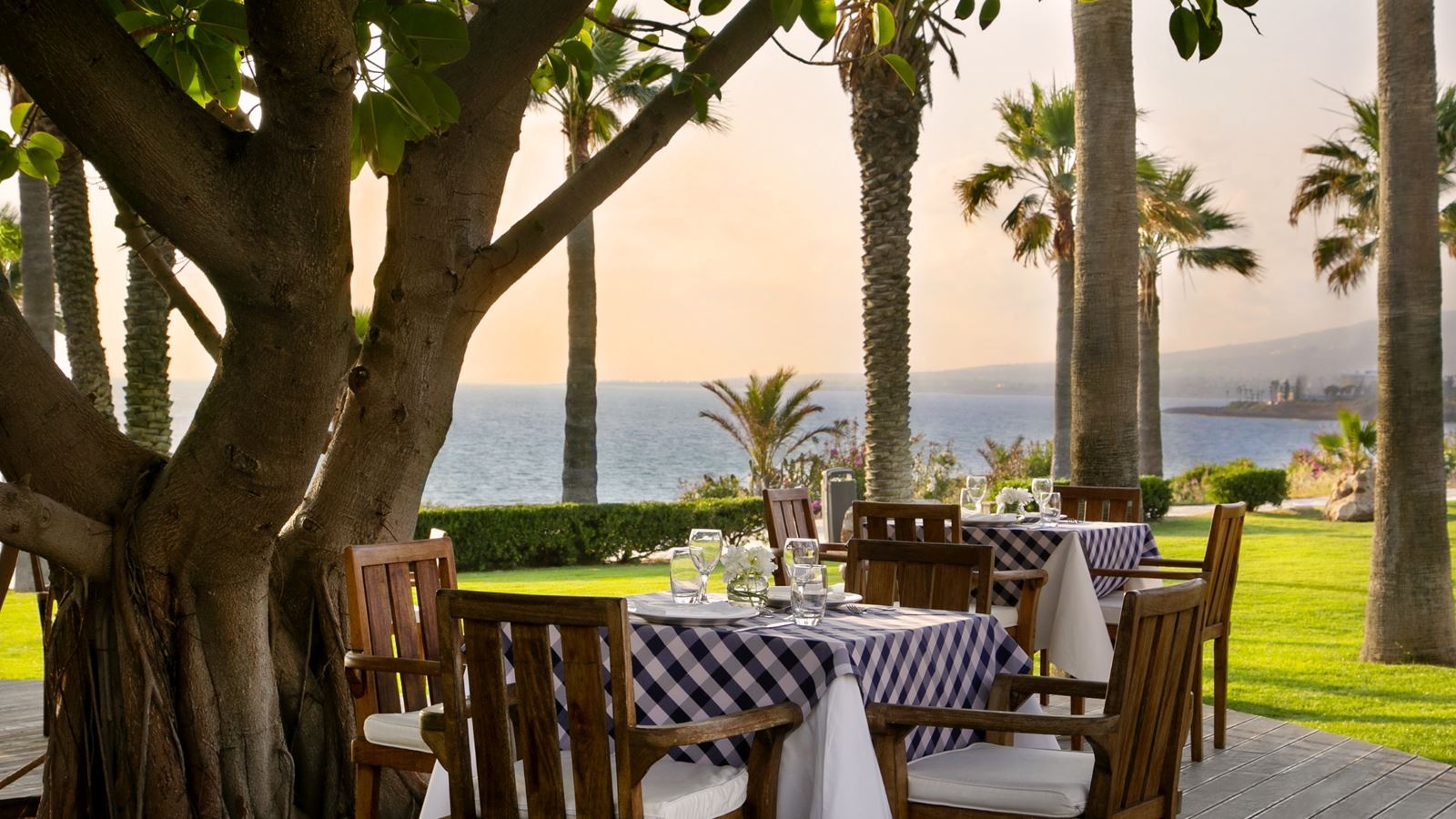 restaurants-tree-deck