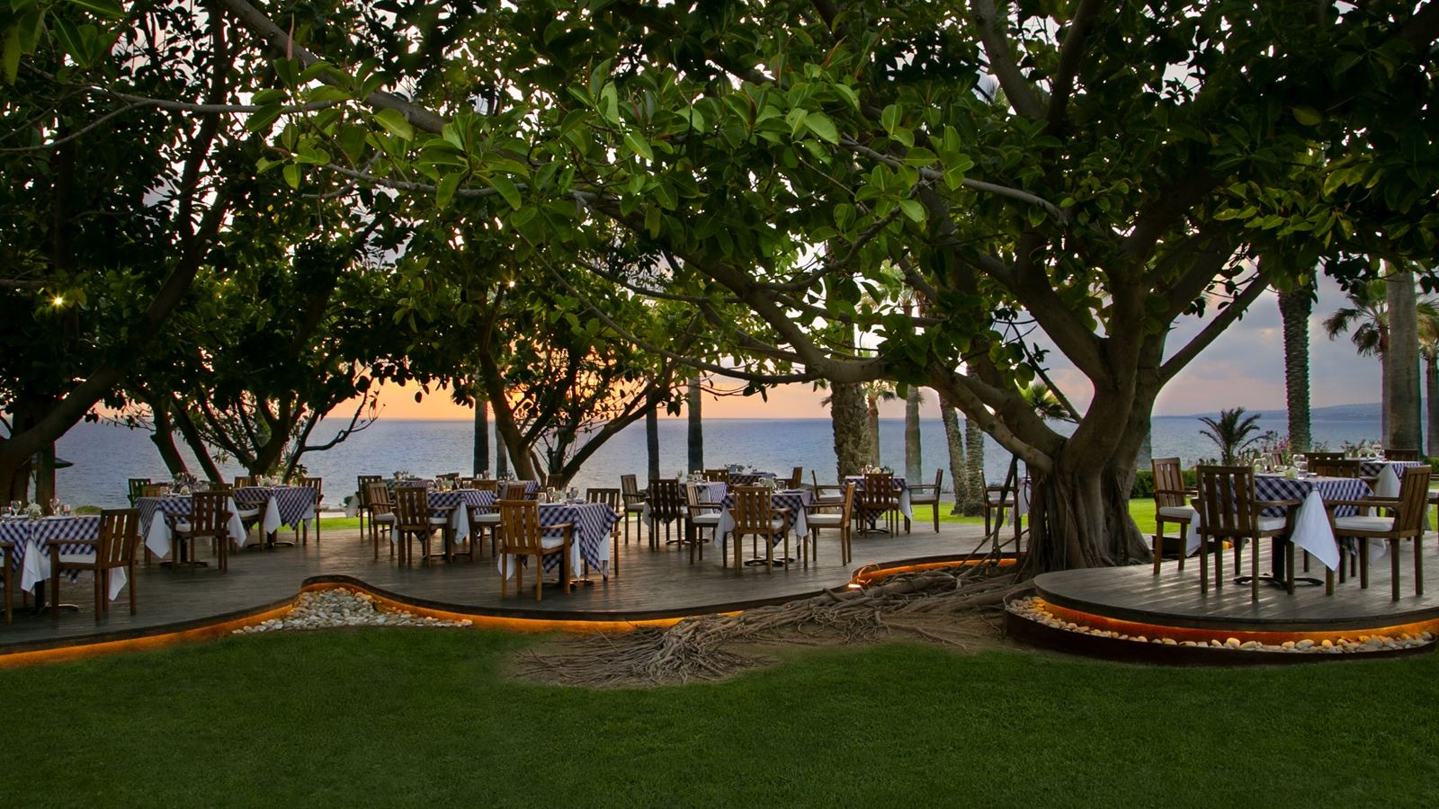 restaurants-tree-deck