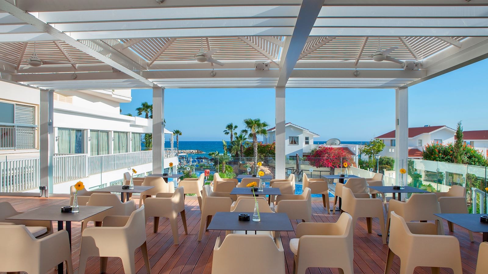 bars-sirens-deck-observatory