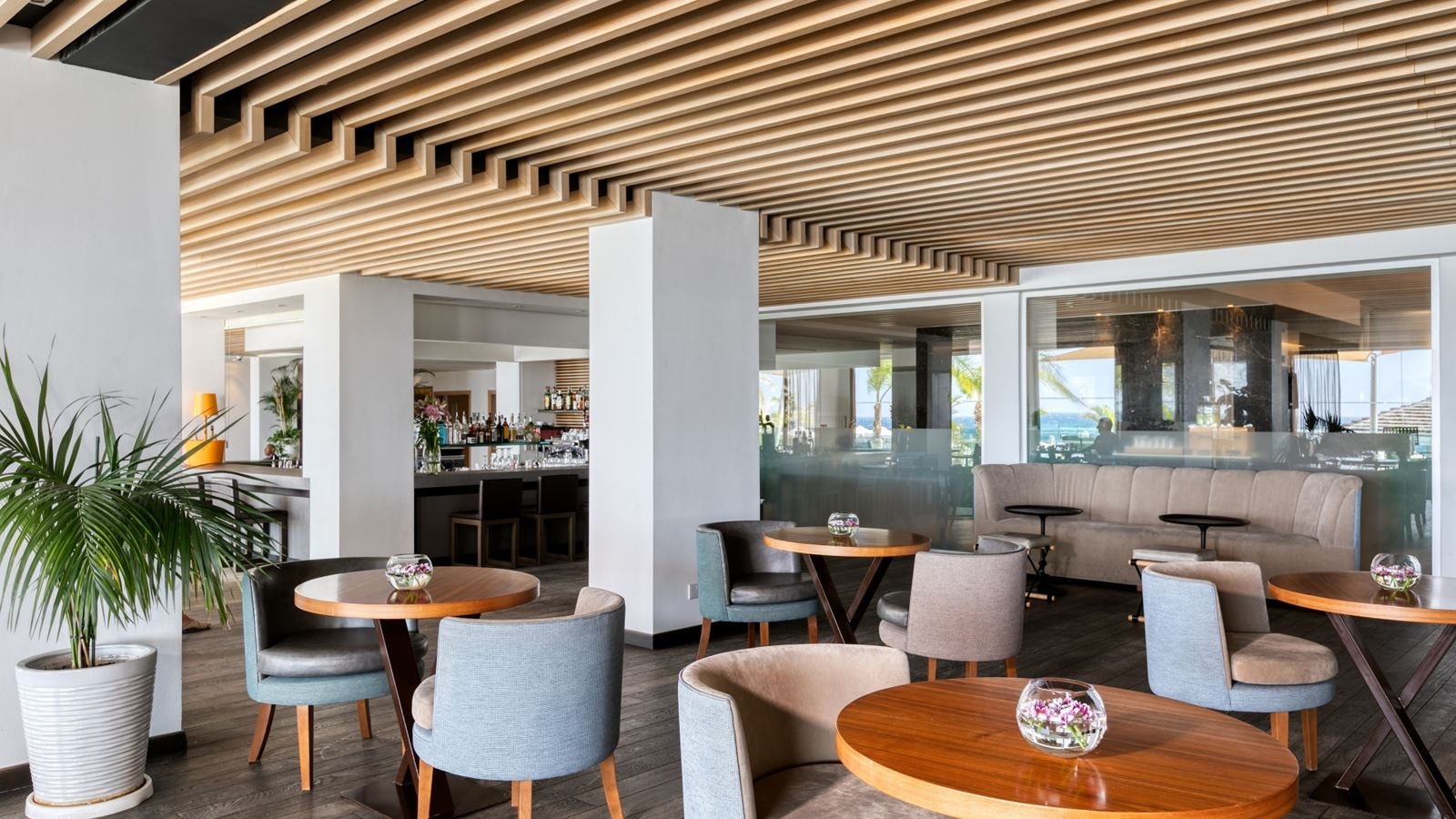 bars-aphrodite-lounge-bar