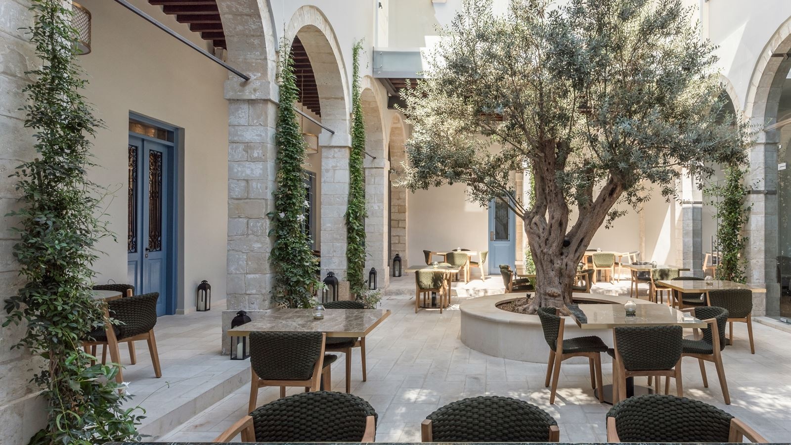 restaurants-olive-tree-restaurant