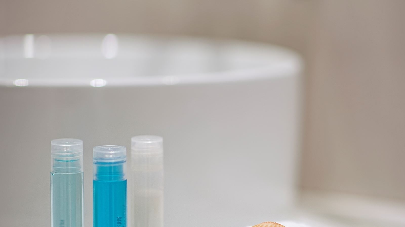 rooms-singleuse-standard-room