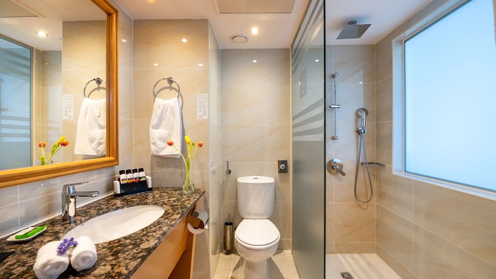 rooms-elite-room-superior-landview