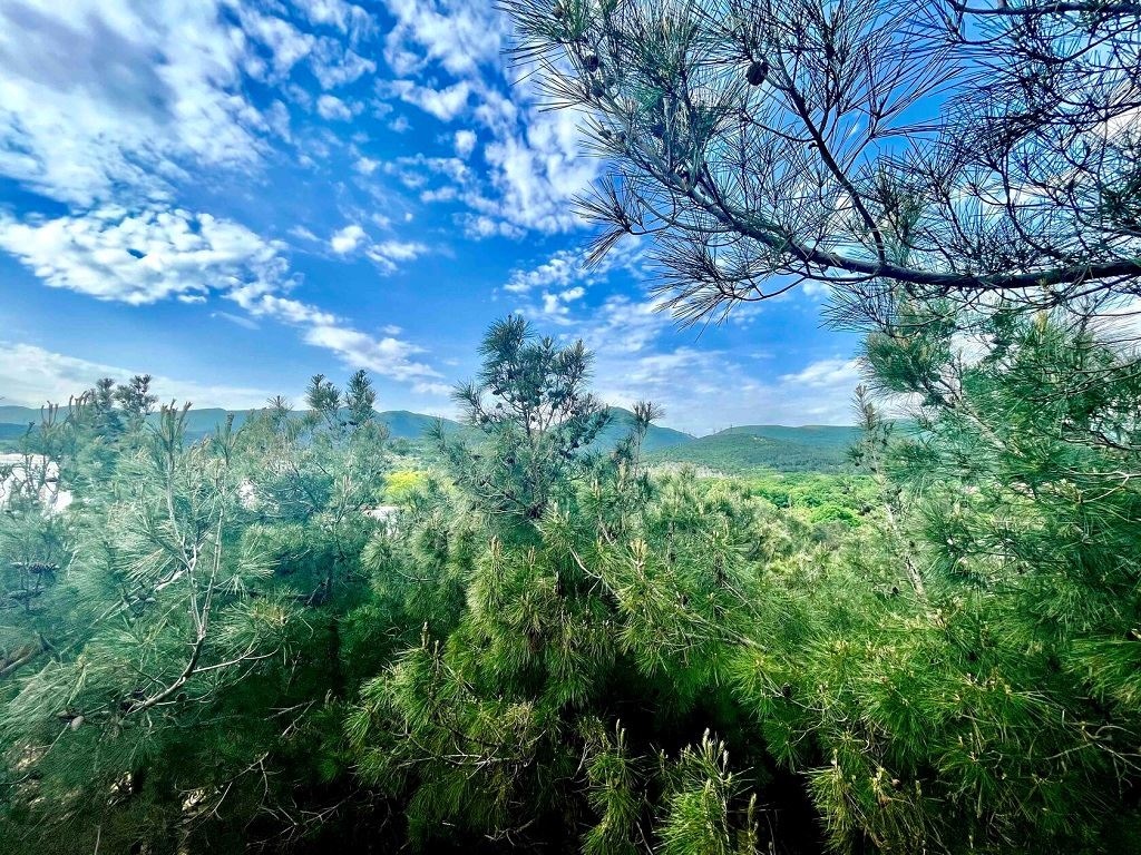 general-annex-building