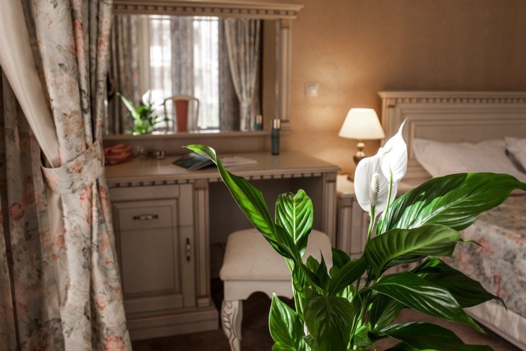 rooms-apartment-2-bedroom