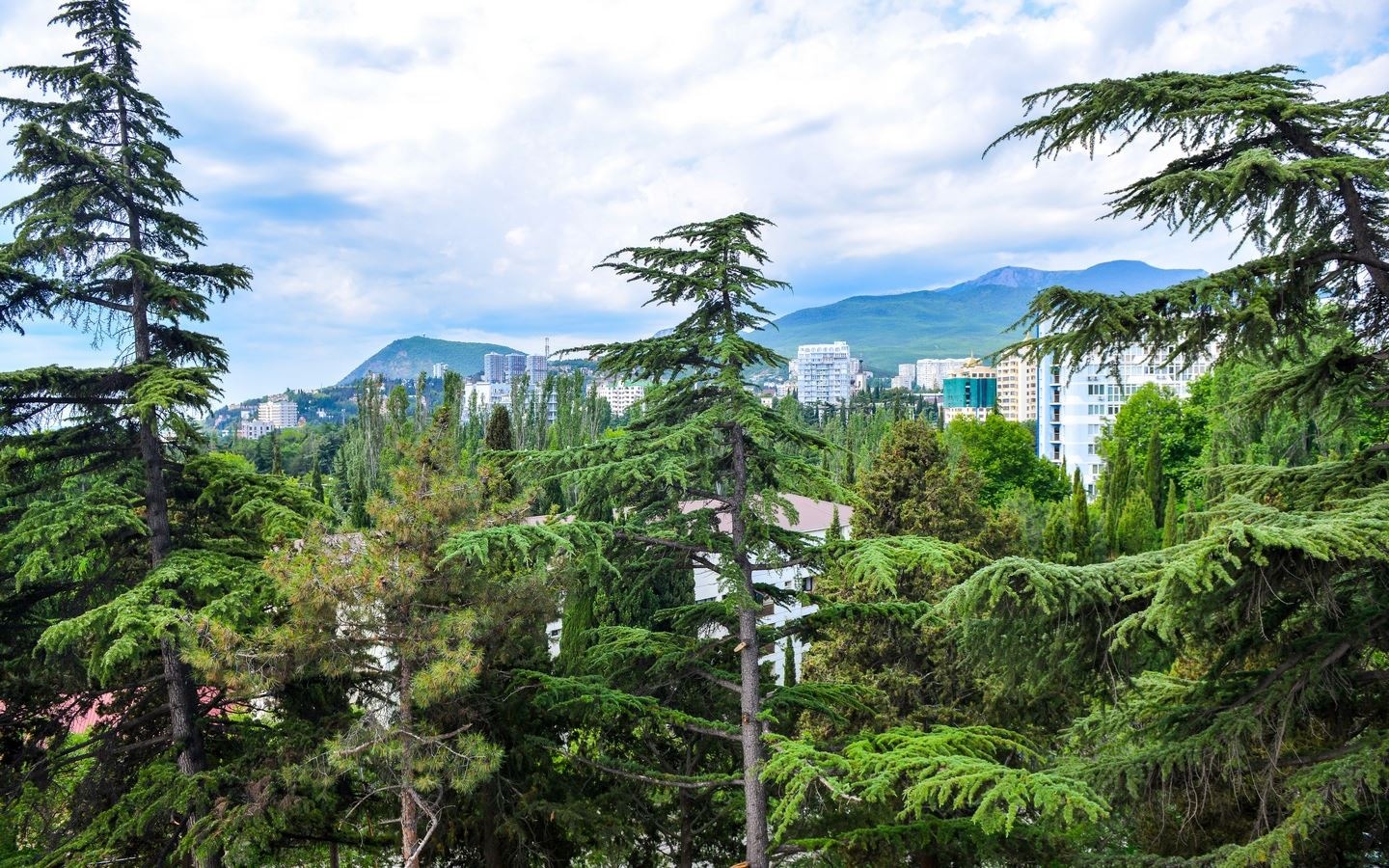 rooms-2-комнатный-люкс-корпус-6