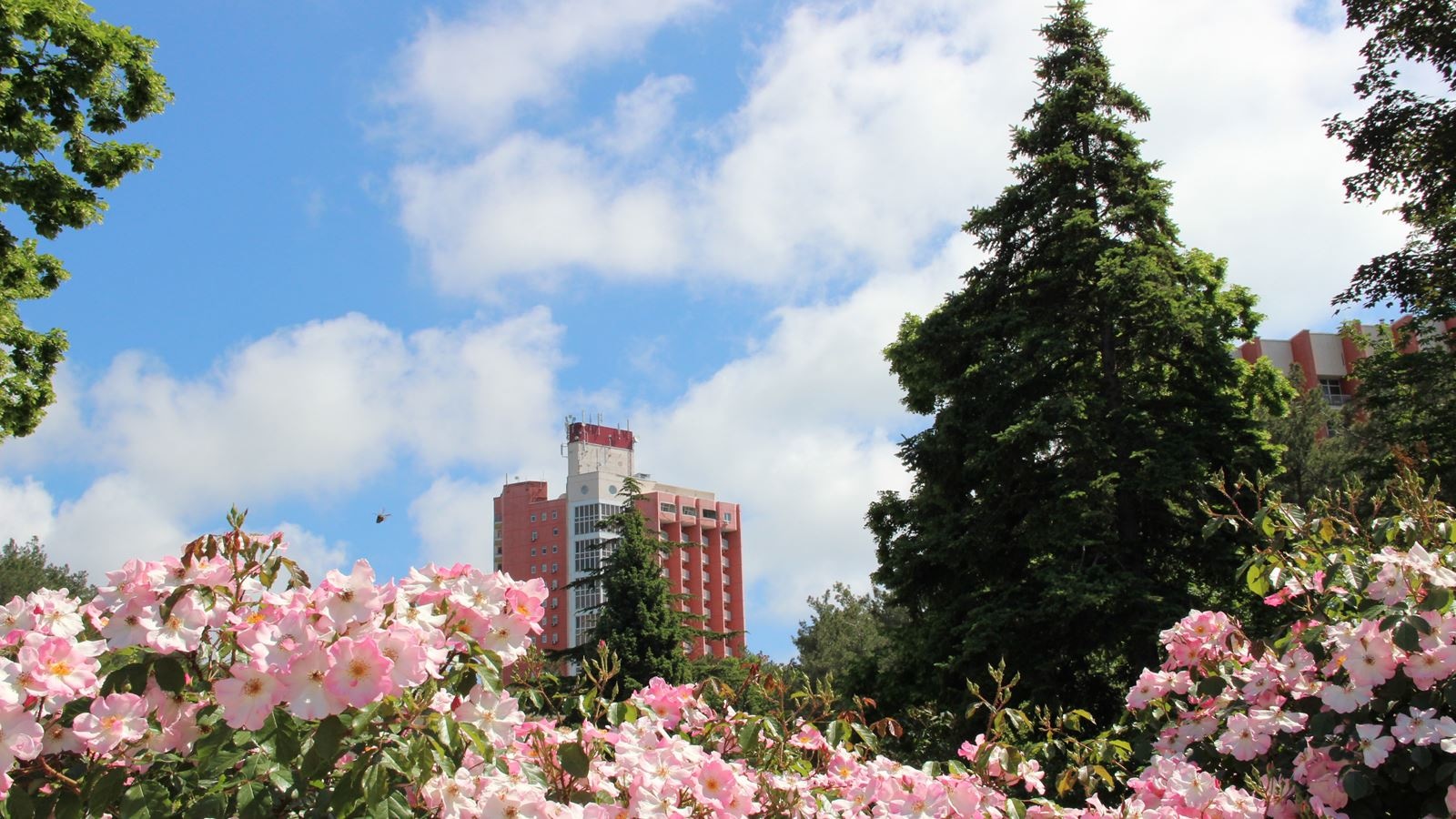 general-main-building