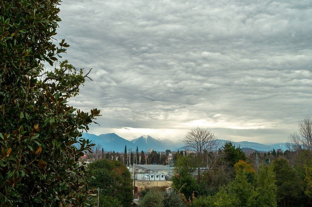 rooms-standart-without-balcony