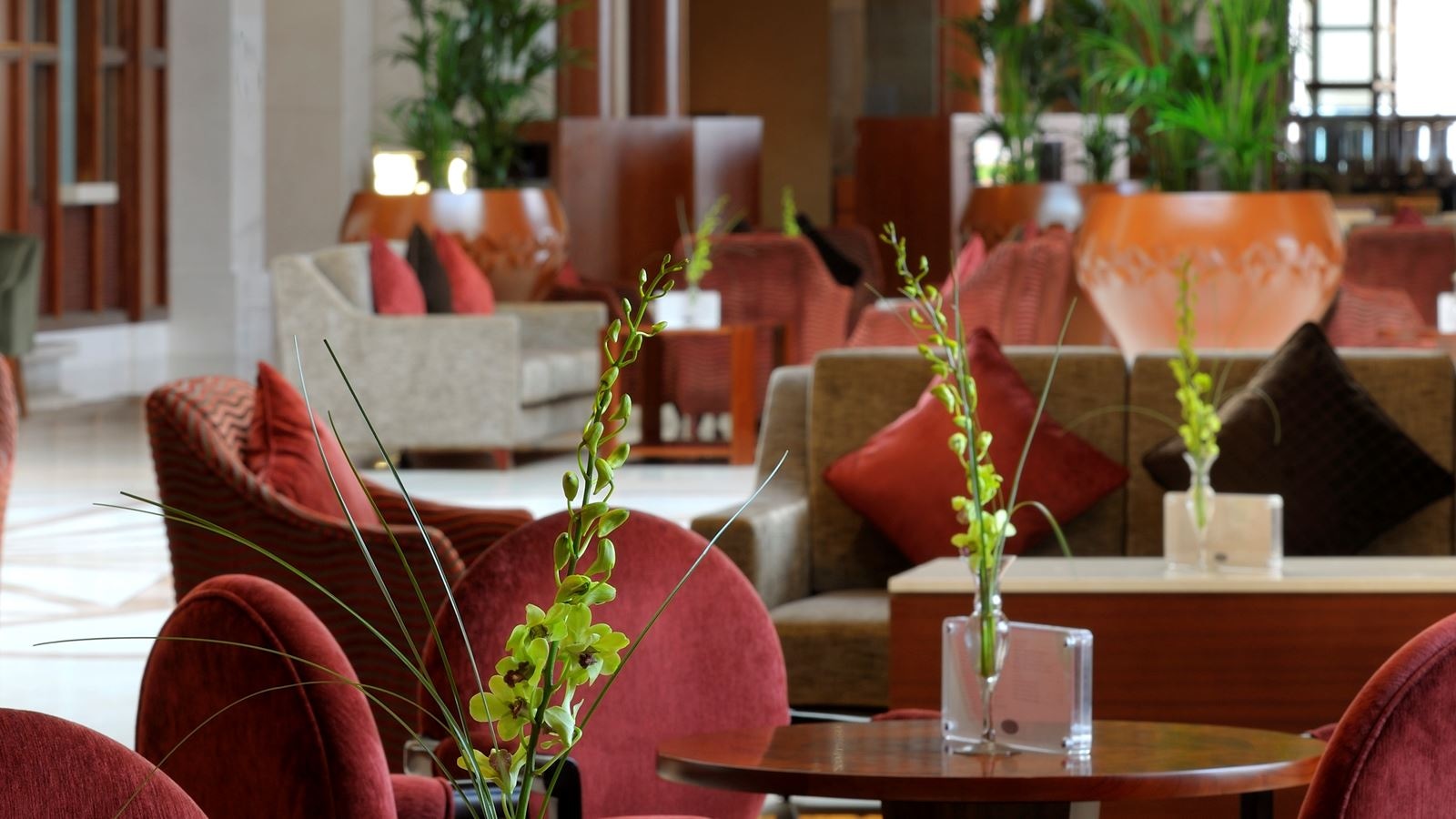 restaurants-atrium-cafe