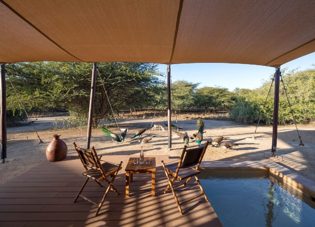 rooms-one-bedroom-pool-villa