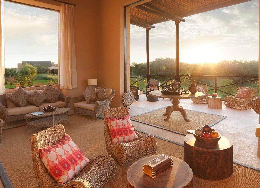 bars-savannah-lounge