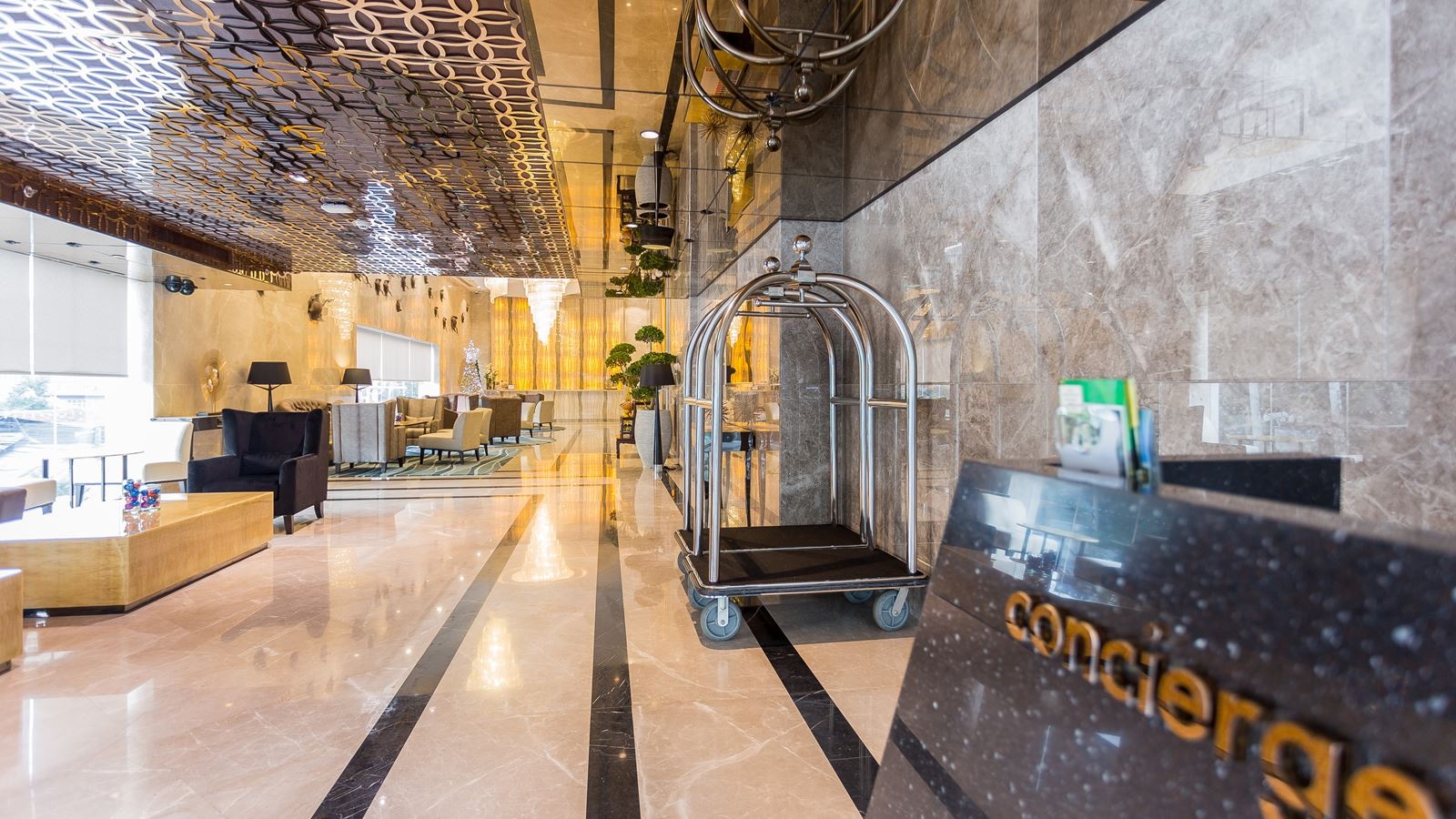 restaurants-brasserie