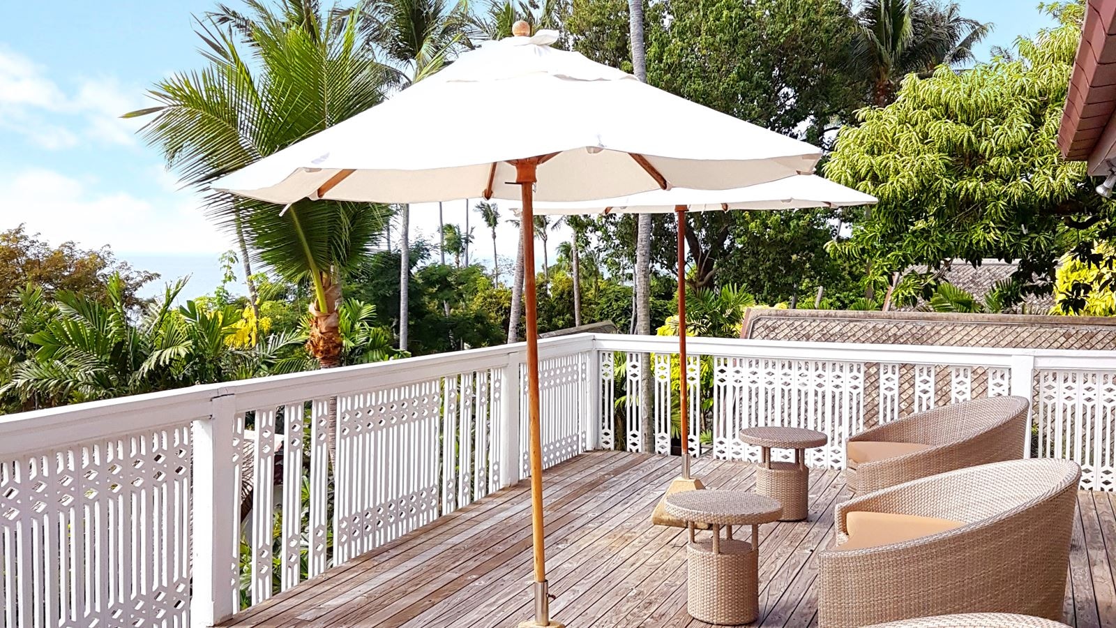 bars-papillon-lounge